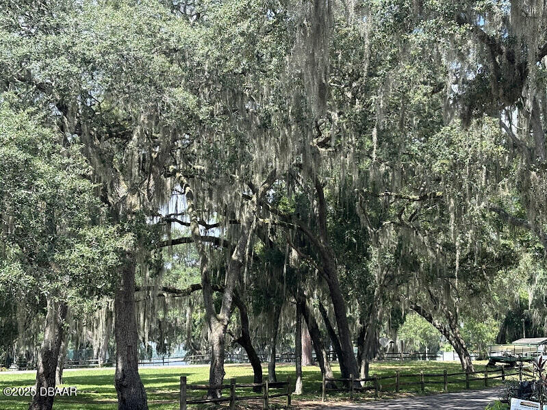 14065 Northeast 253 Ct Road Salt Springs, FL 32134 - Photo 40 of 58 8