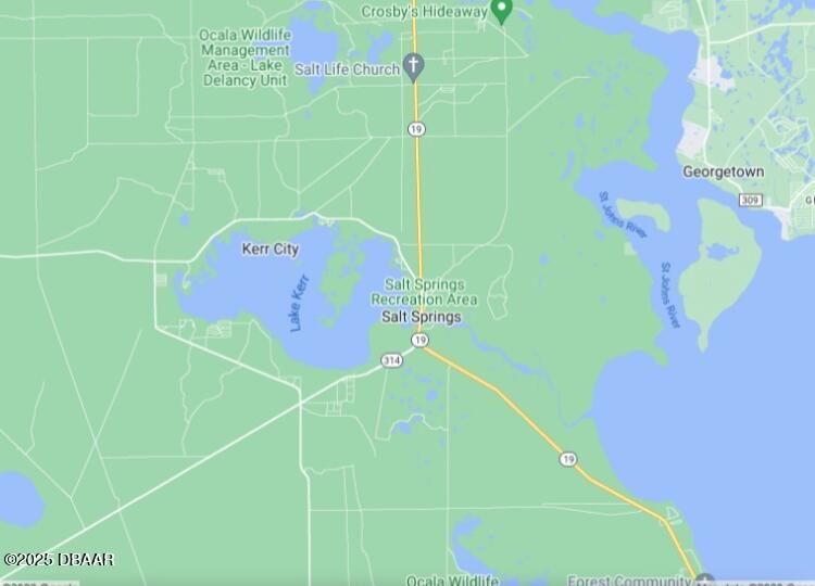 14065 Northeast 253 Ct Road Salt Springs, FL 32134 - Photo 45 of 58 IMG_8096