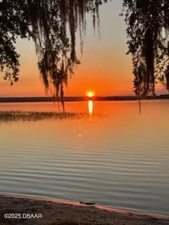 14065 Northeast 253 Ct Road Salt Springs, FL 32134 - Photo 51 of 58 pic salt springs lake