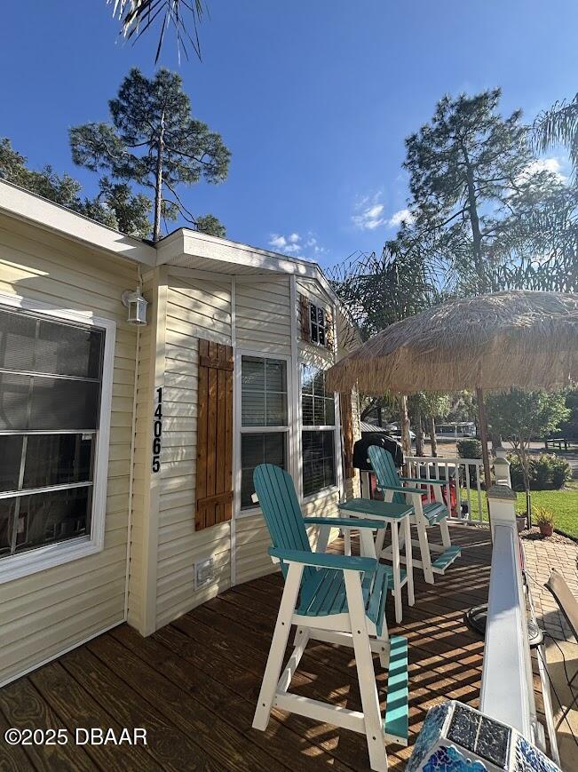 14065 Northeast 253 Ct Road Salt Springs, FL 32134 - Photo 7 of 58 17