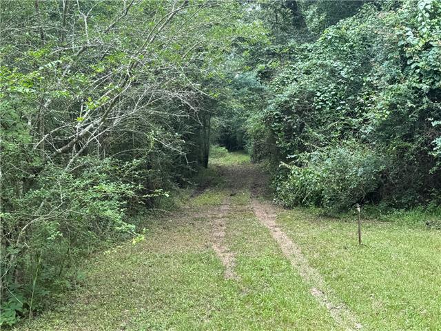 0 Ryland Road Pineville, LA 71360 - Photo 2 of 6