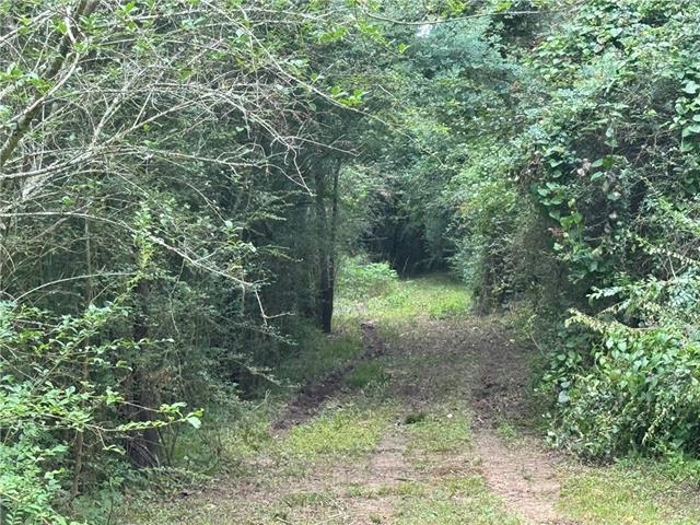 0 Ryland Road Pineville, LA 71360 - Photo 3 of 6