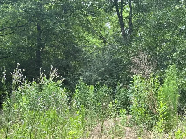 $119,900 | 0 Ryland Road, Pineville, LA 71360