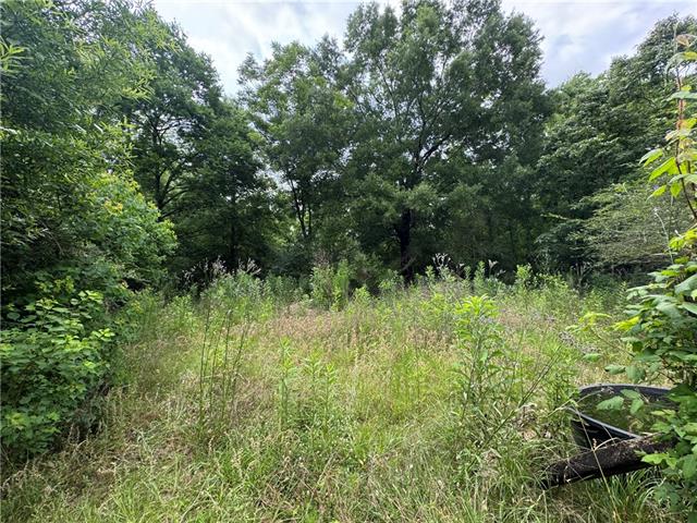 0 Ryland Road Pineville, LA 71360 - Photo 6 of 6