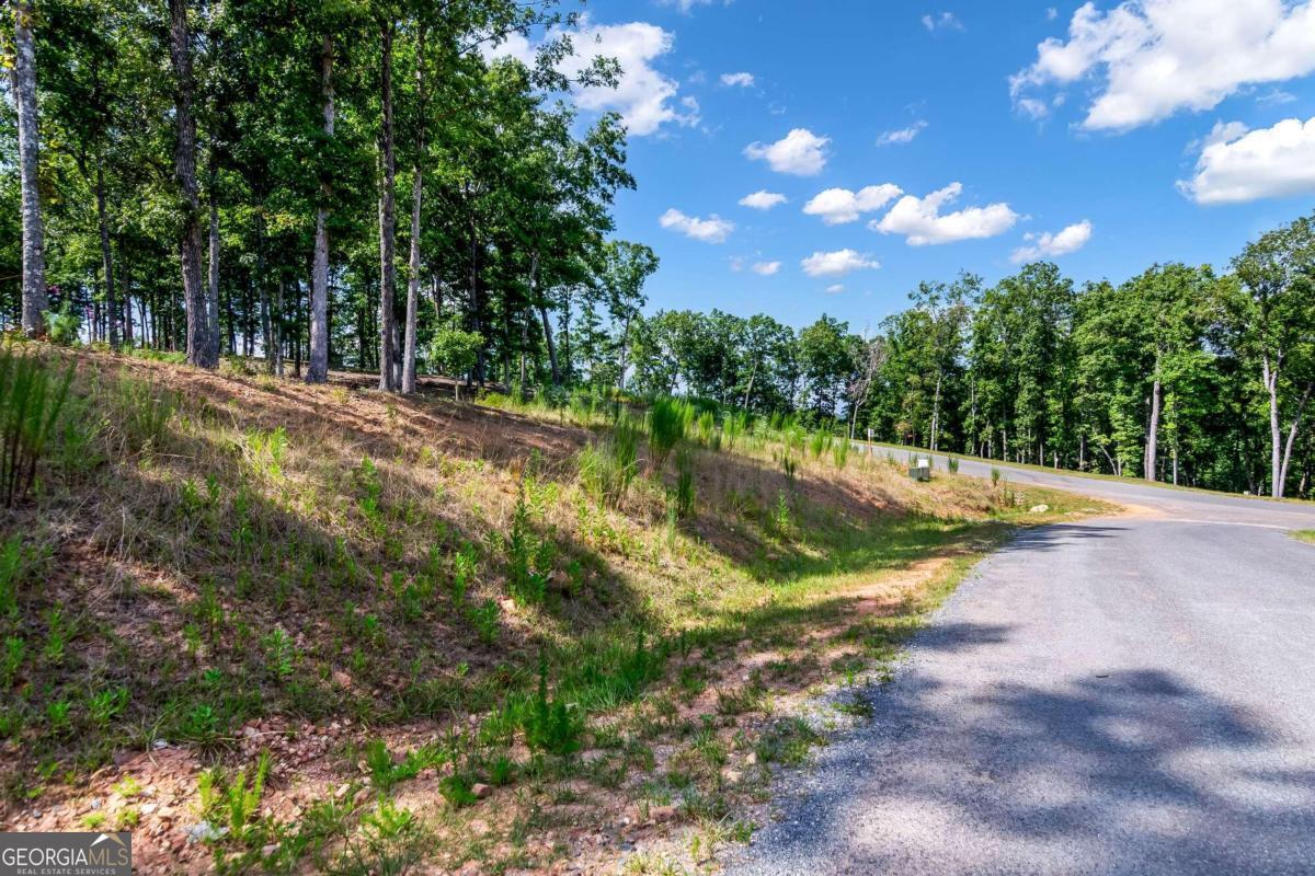 Lot 84 Ridge Drive Morganton, GA 30560 - Photo 11 of 33