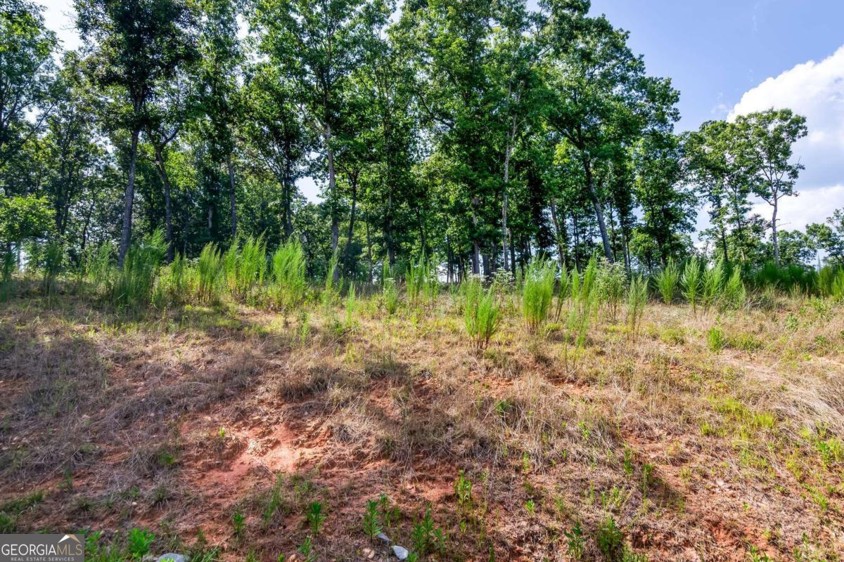 Lot 84 Ridge Drive Morganton, GA 30560 - Photo 12 of 33