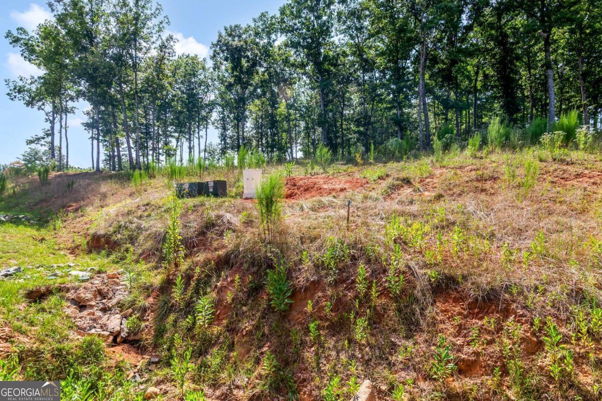 Lot 84 Ridge Drive Morganton, GA 30560 - Photo 13 of 33