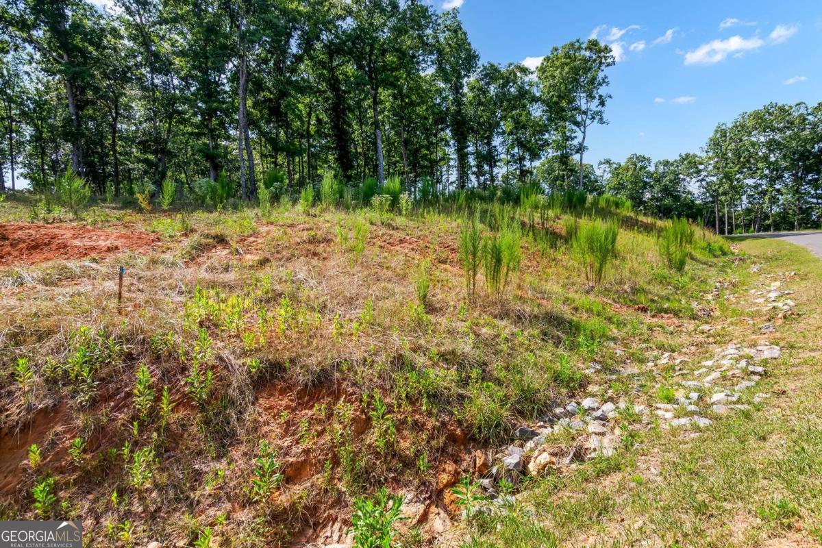 Lot 84 Ridge Drive Morganton, GA 30560 - Photo 14 of 33