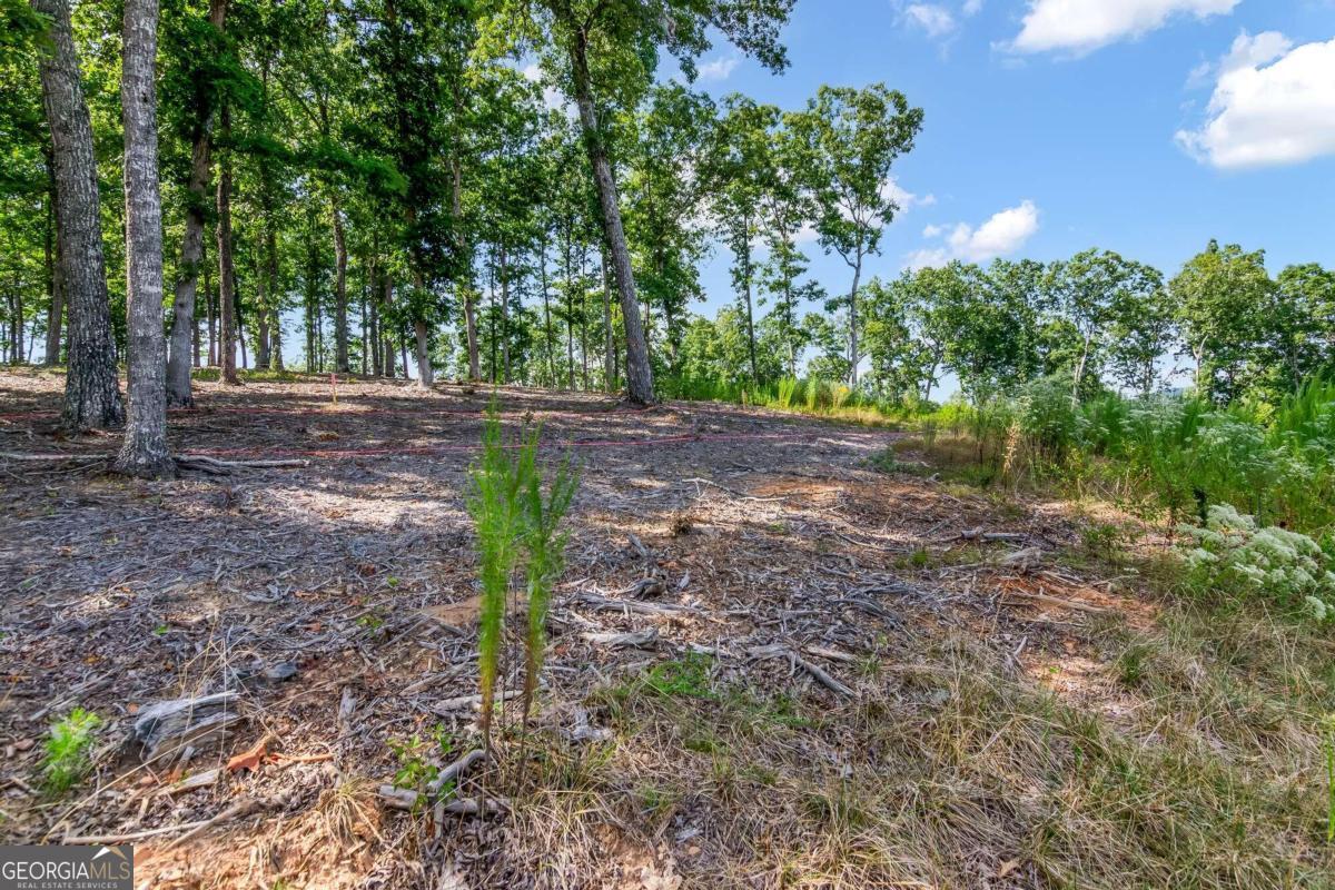 Lot 84 Ridge Drive Morganton, GA 30560 - Photo 15 of 33