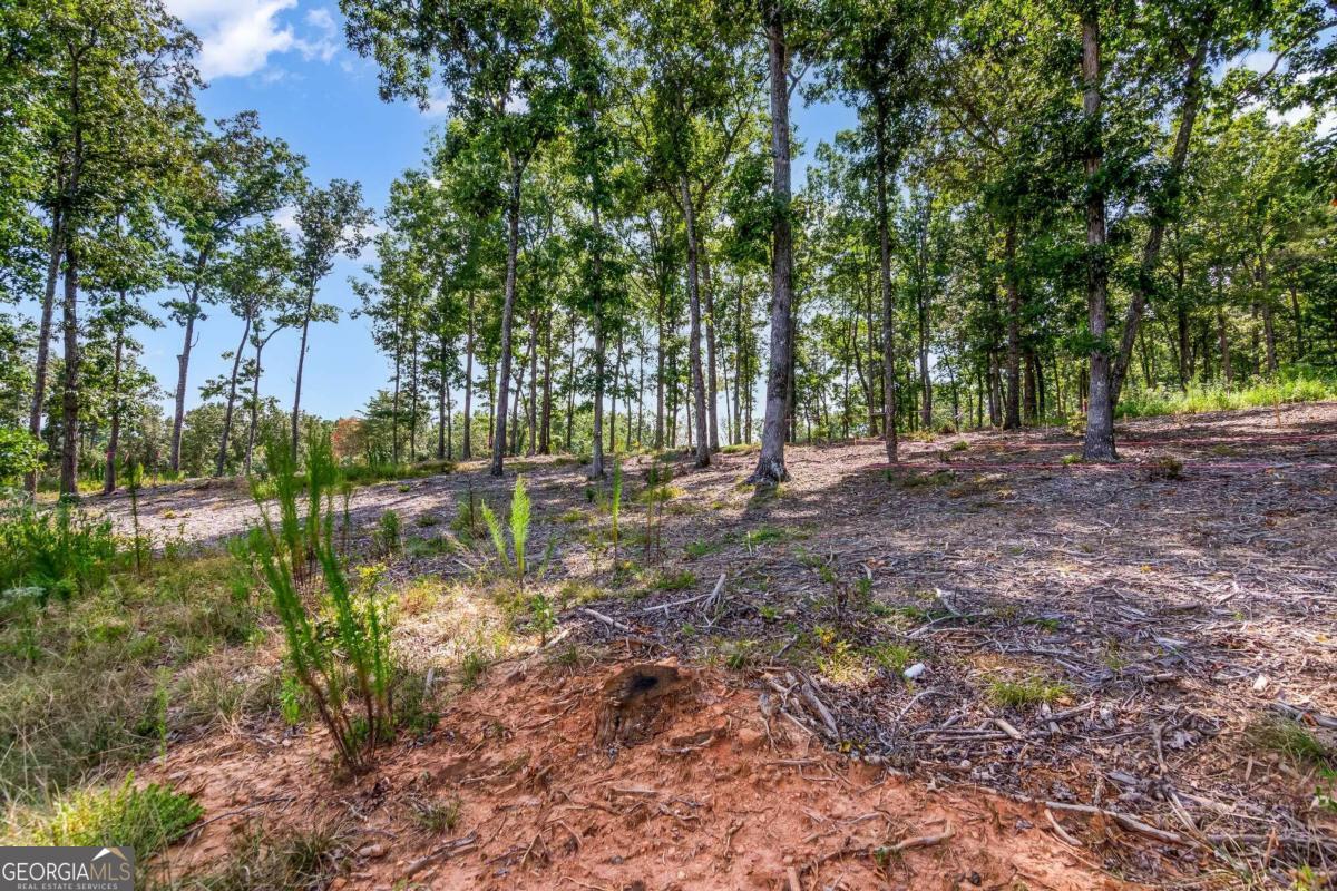 Lot 84 Ridge Drive Morganton, GA 30560 - Photo 17 of 33