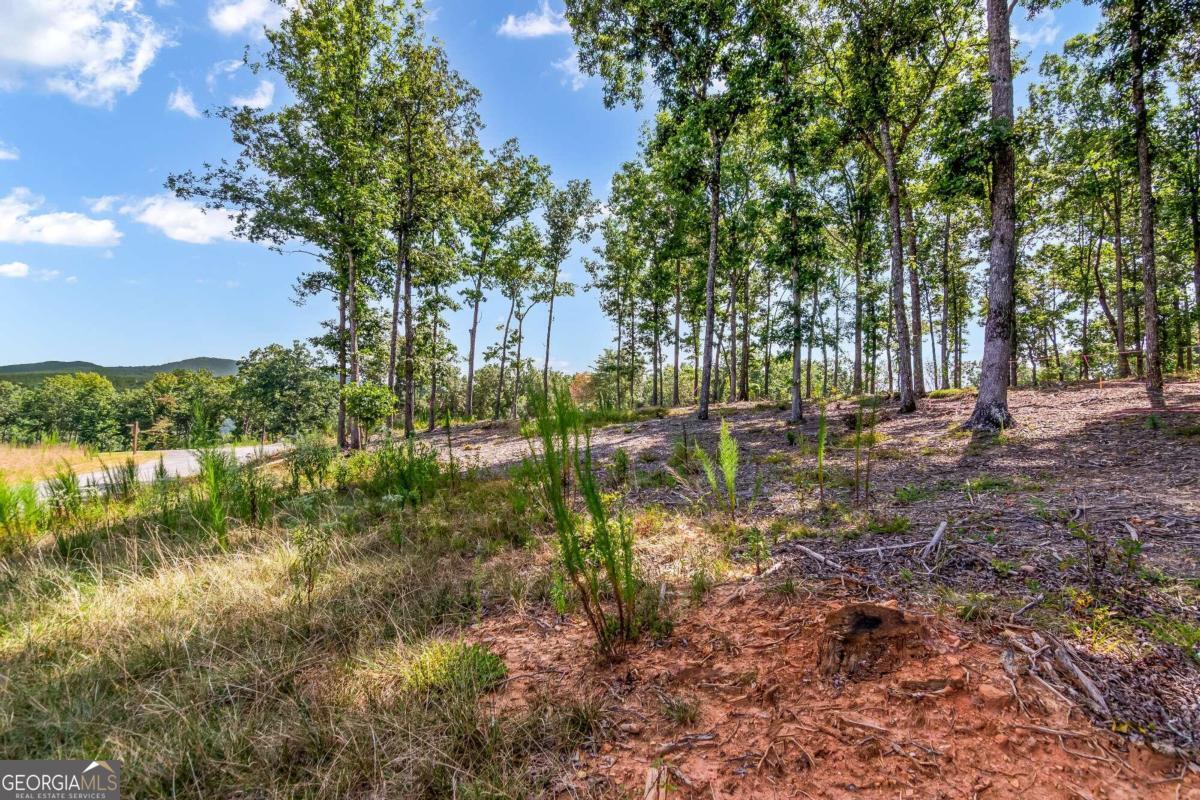 Lot 84 Ridge Drive Morganton, GA 30560 - Photo 18 of 33