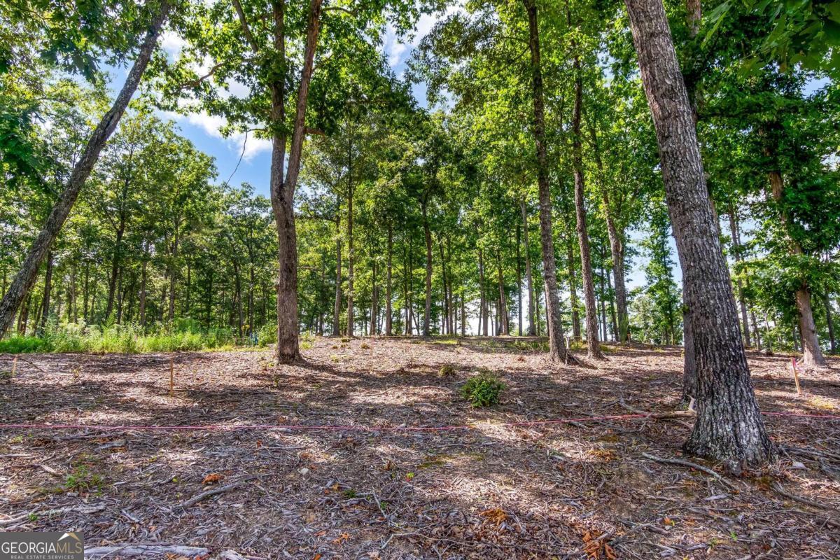Lot 84 Ridge Drive Morganton, GA 30560 - Photo 19 of 33