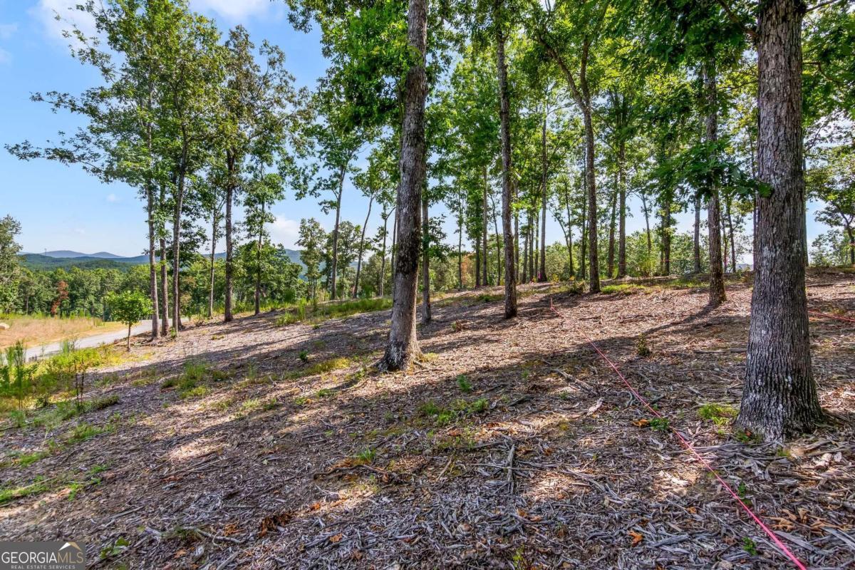 Lot 84 Ridge Drive Morganton, GA 30560 - Photo 20 of 33