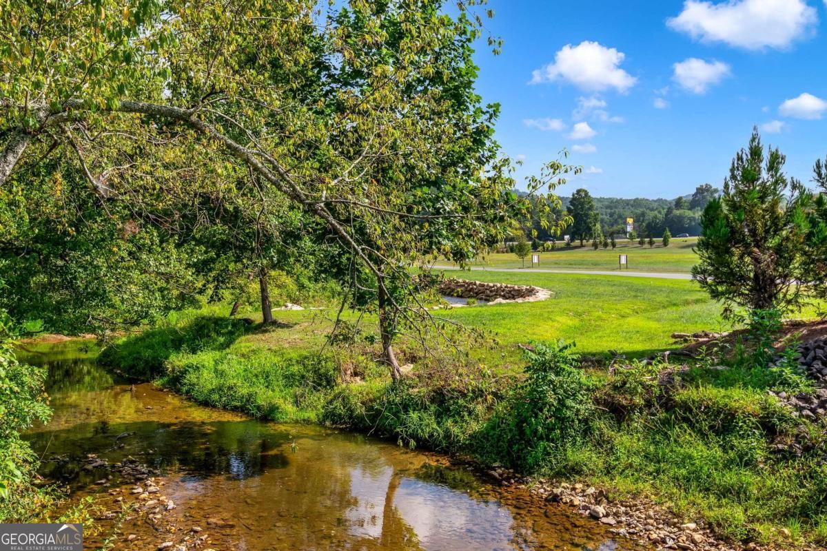 Lot 84 Ridge Drive Morganton, GA 30560 - Photo 22 of 33