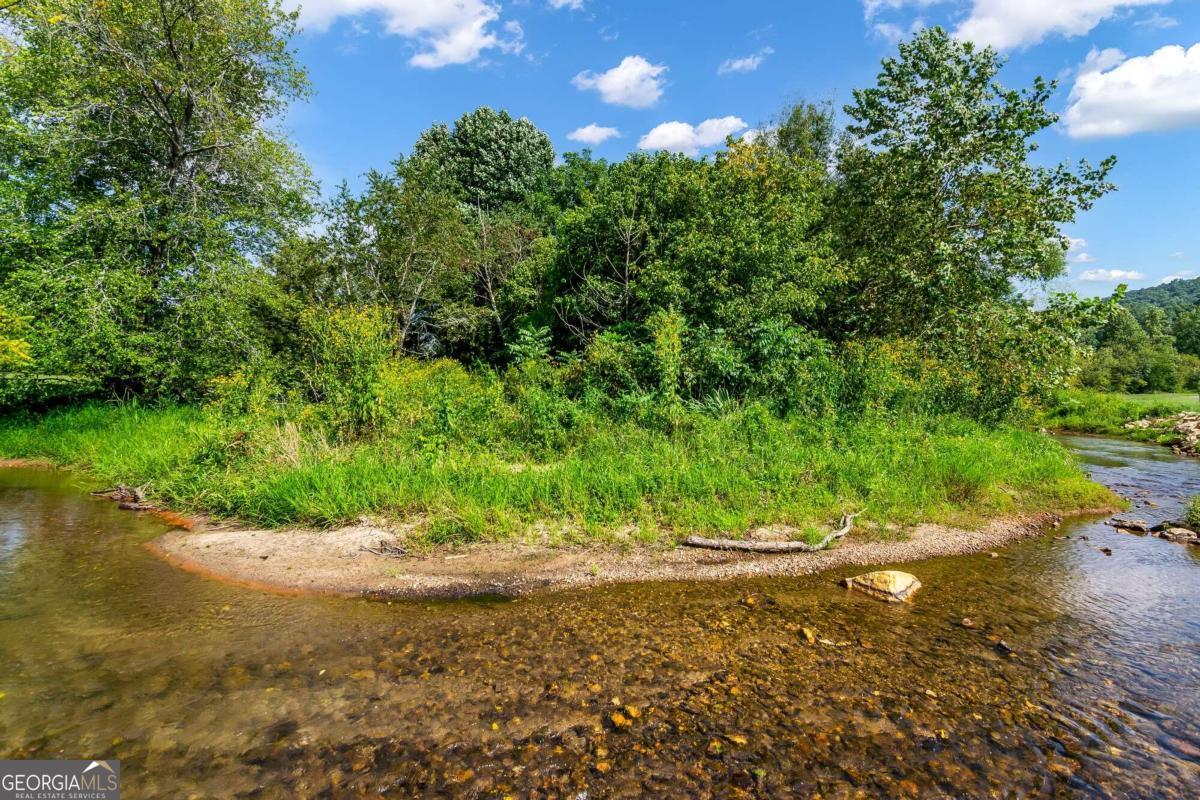 Lot 84 Ridge Drive Morganton, GA 30560 - Photo 25 of 33