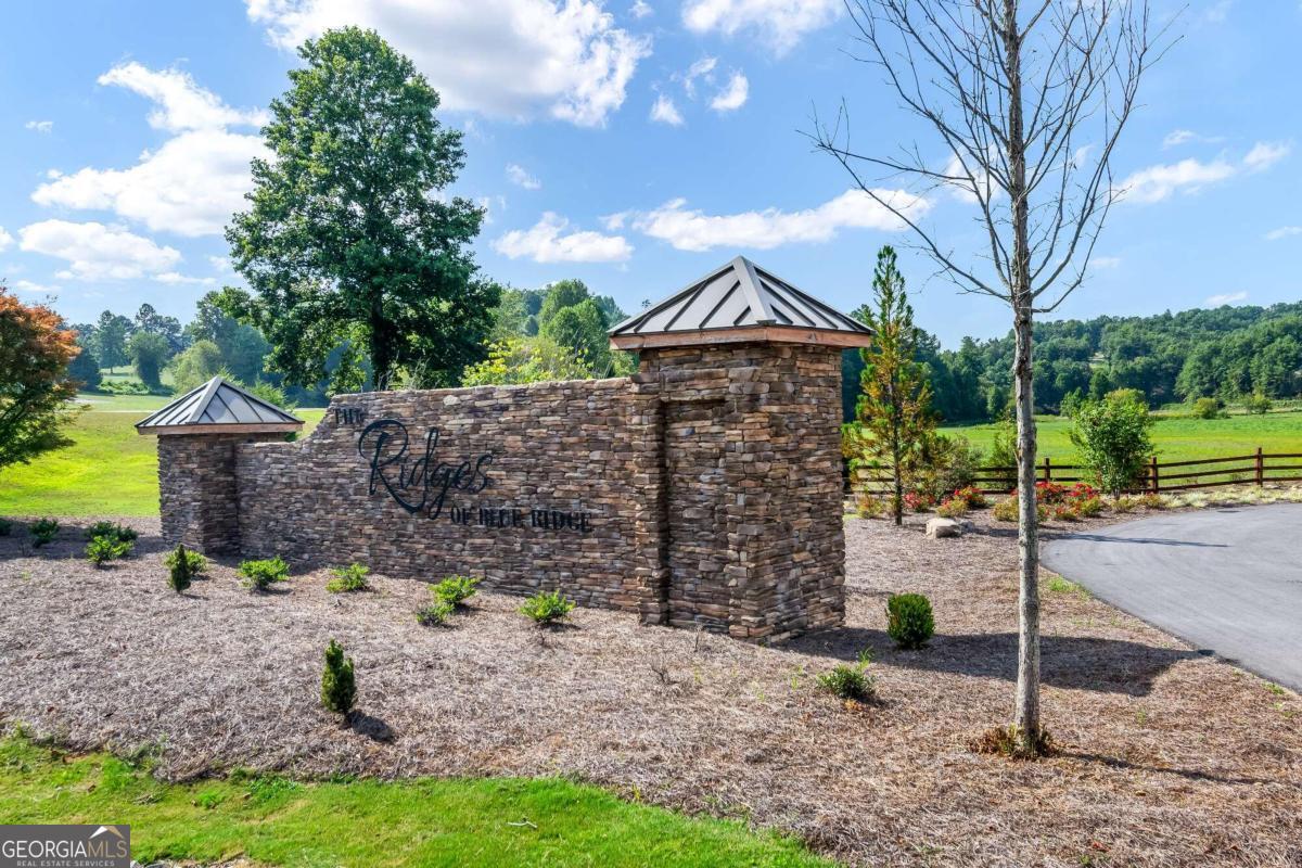 Lot 84 Ridge Drive Morganton, GA 30560 - Photo 29 of 33