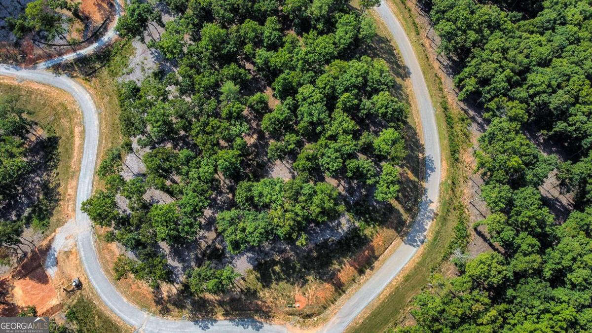 Lot 84 Ridge Drive Morganton, GA 30560 - Photo 3 of 33