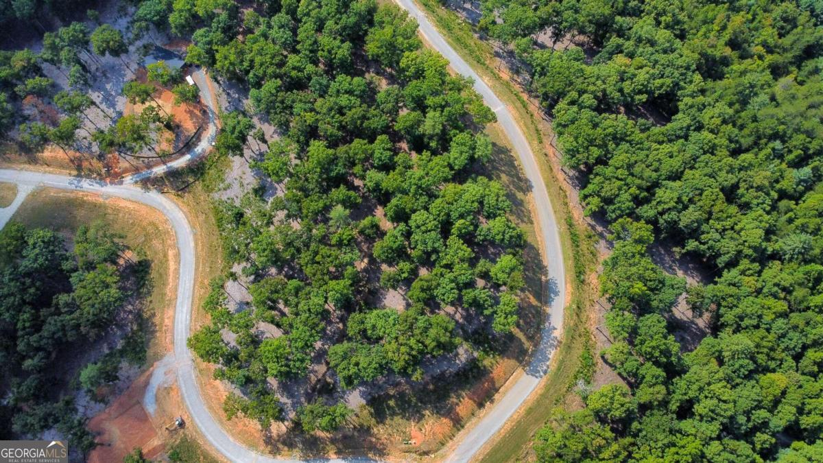 Lot 84 Ridge Drive Morganton, GA 30560 - Photo 4 of 33