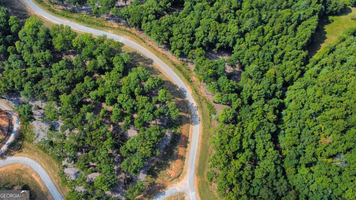 Lot 84 Ridge Drive Morganton, GA 30560 - Photo 5 of 33