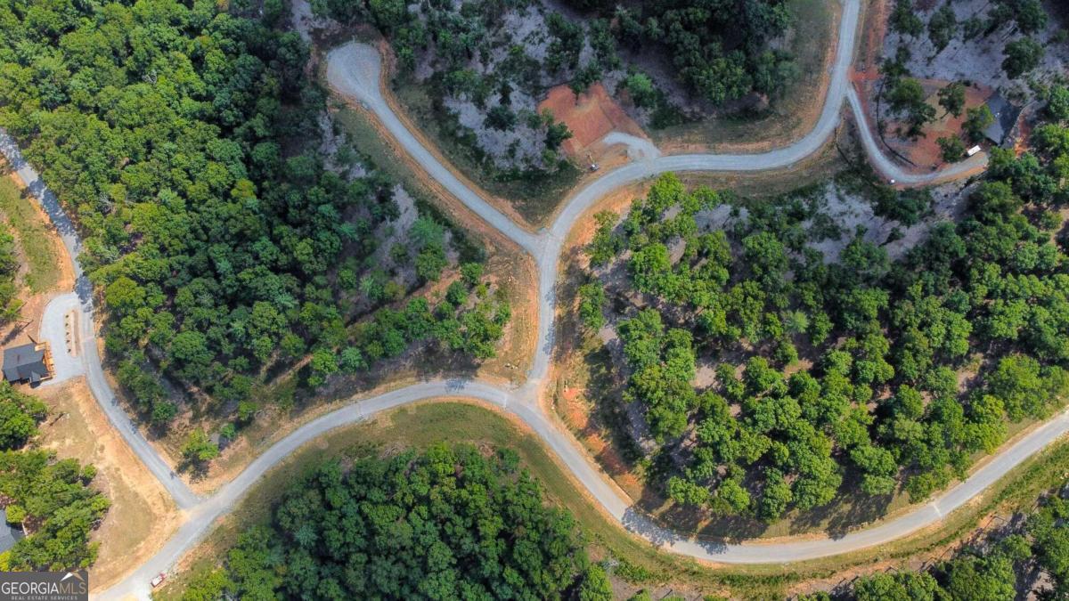 Lot 84 Ridge Drive Morganton, GA 30560 - Photo 6 of 33