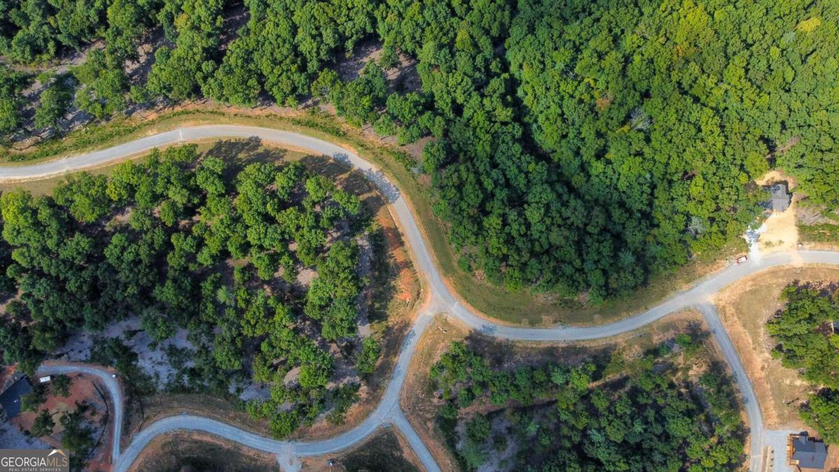 Lot 84 Ridge Drive Morganton, GA 30560 - Photo 7 of 33