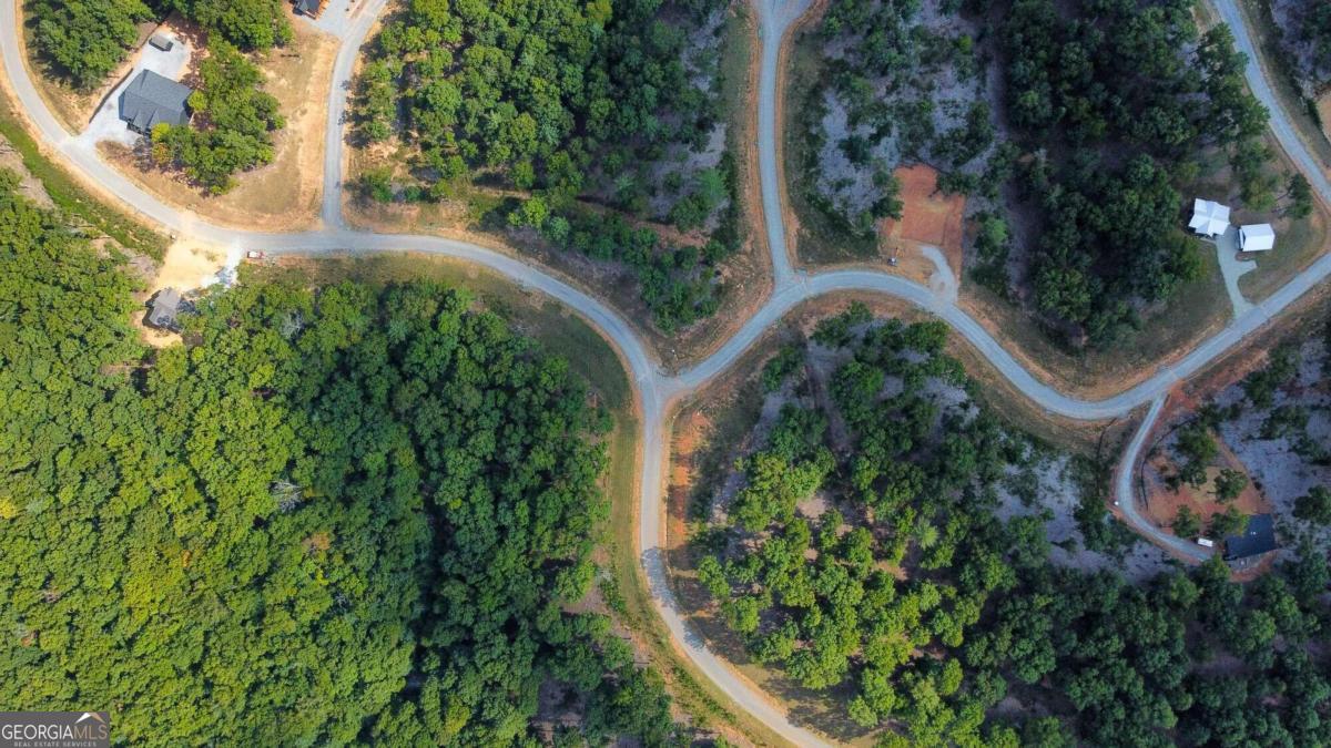 Lot 84 Ridge Drive Morganton, GA 30560 - Photo 8 of 33