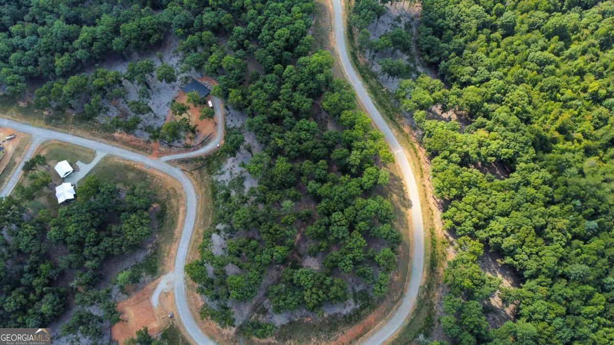 Lot 84 Ridge Drive Morganton, GA 30560 - Photo 9 of 33