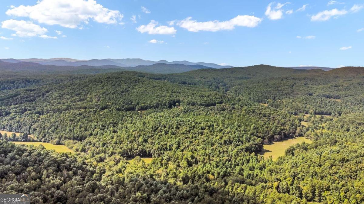 Lot 84 Ridge Drive Morganton, GA 30560 - Photo 10 of 33