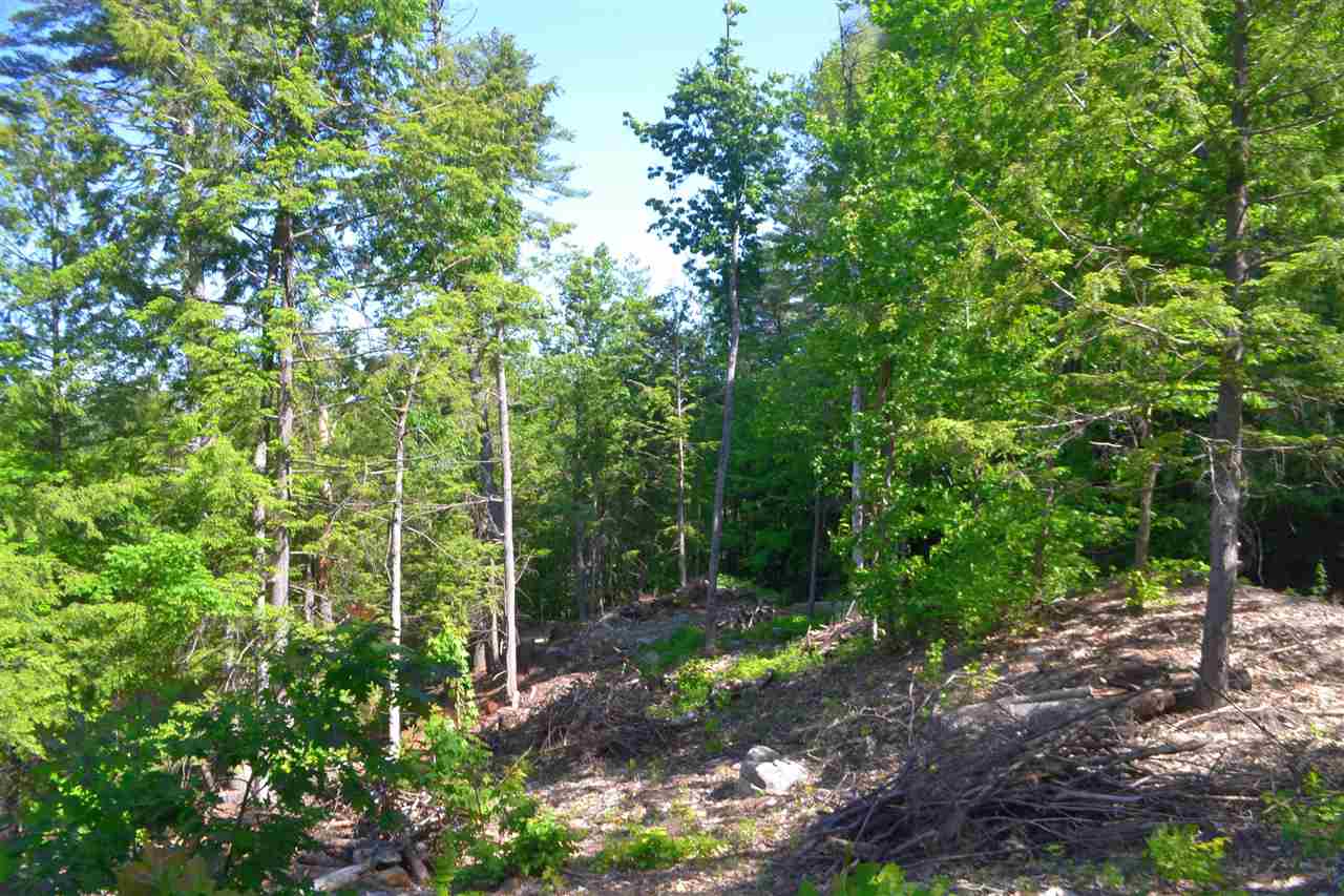 472 Bonnyman Road Wakefield, NH 03830 - Photo 3 of 5 Gallery Image 3