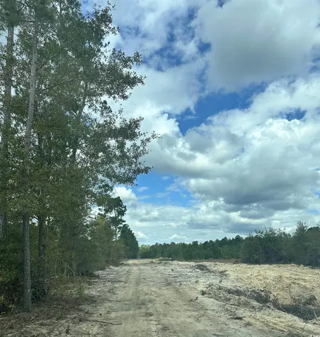 $90,000 | 3369 Highway 430 Nichols Sc 29581, Nichols, SC 29581