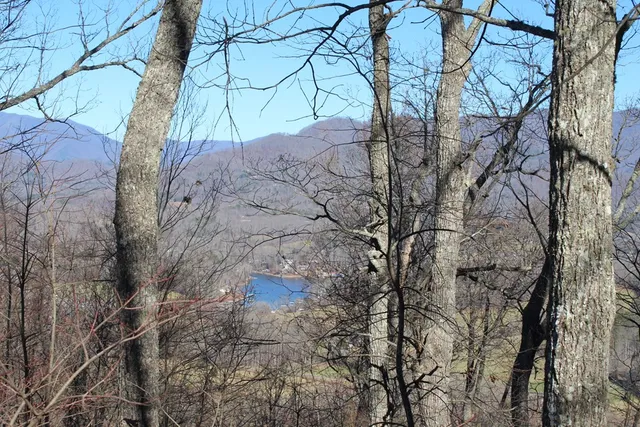 a backyard of a house with large trees and wooden fence