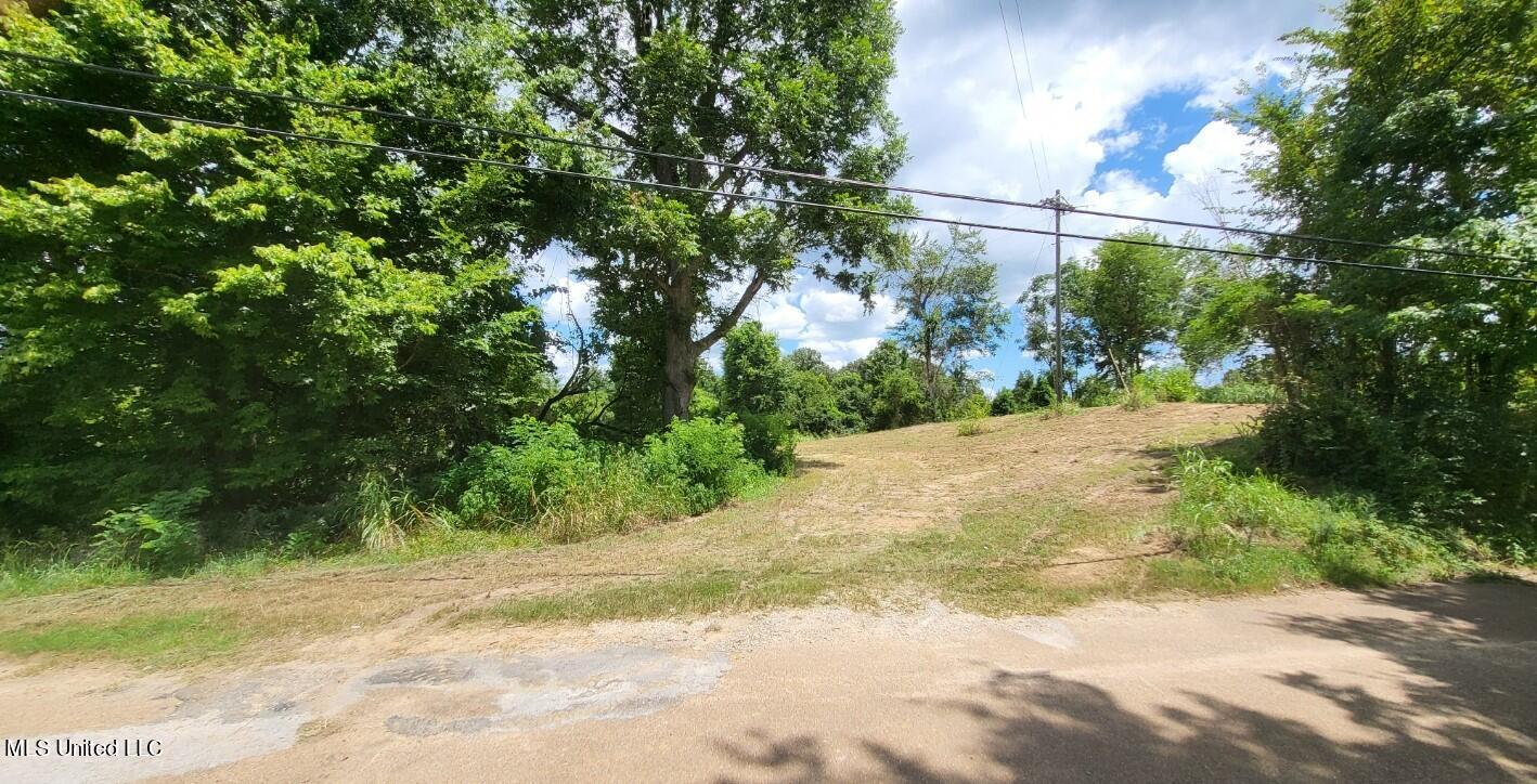 Kirk Road Yazoo City, MS 39194 - Photo 2 of 13 20220727_135729