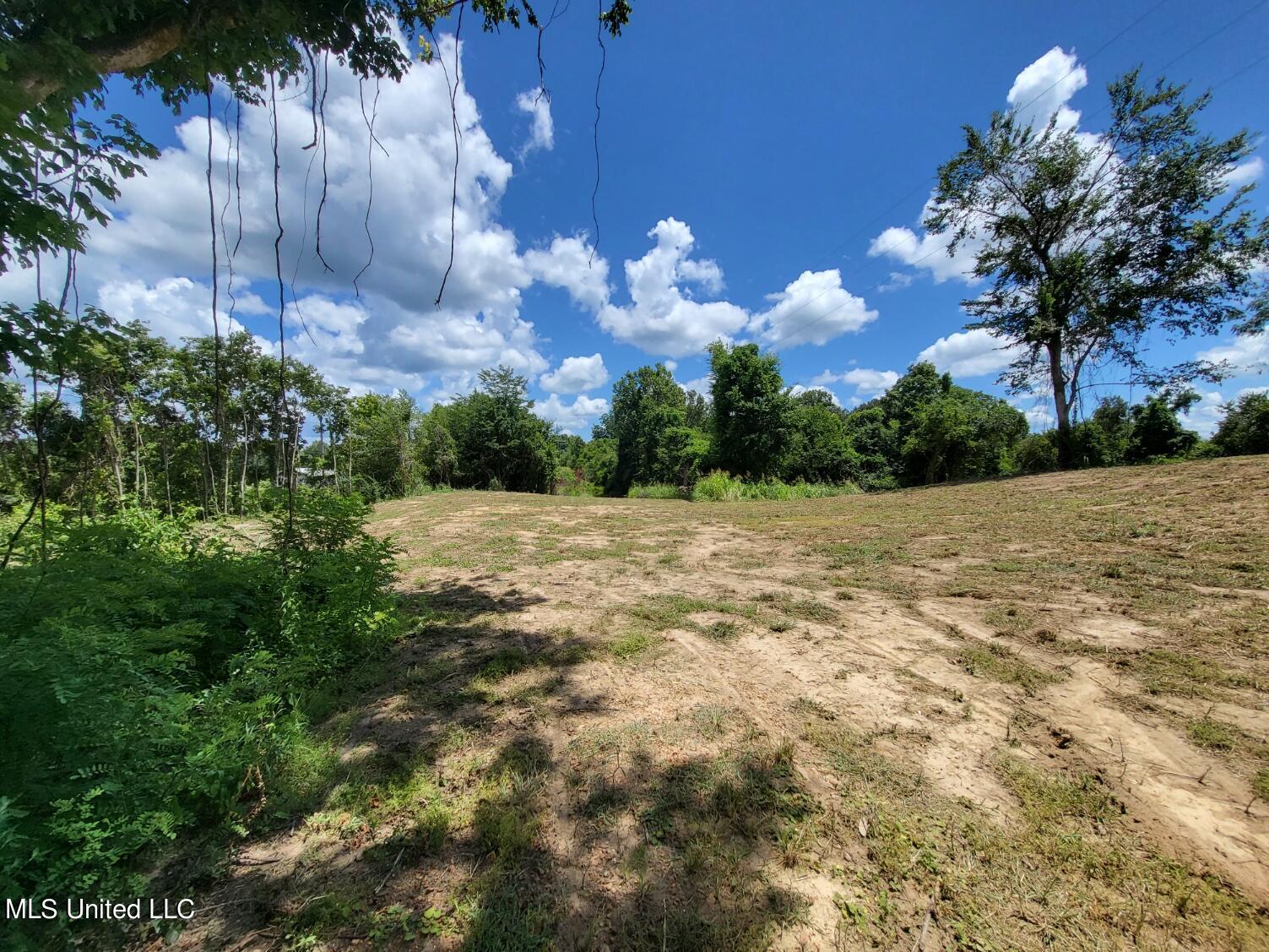Kirk Road Yazoo City, MS 39194 - Photo 3 of 13 20220727_131335