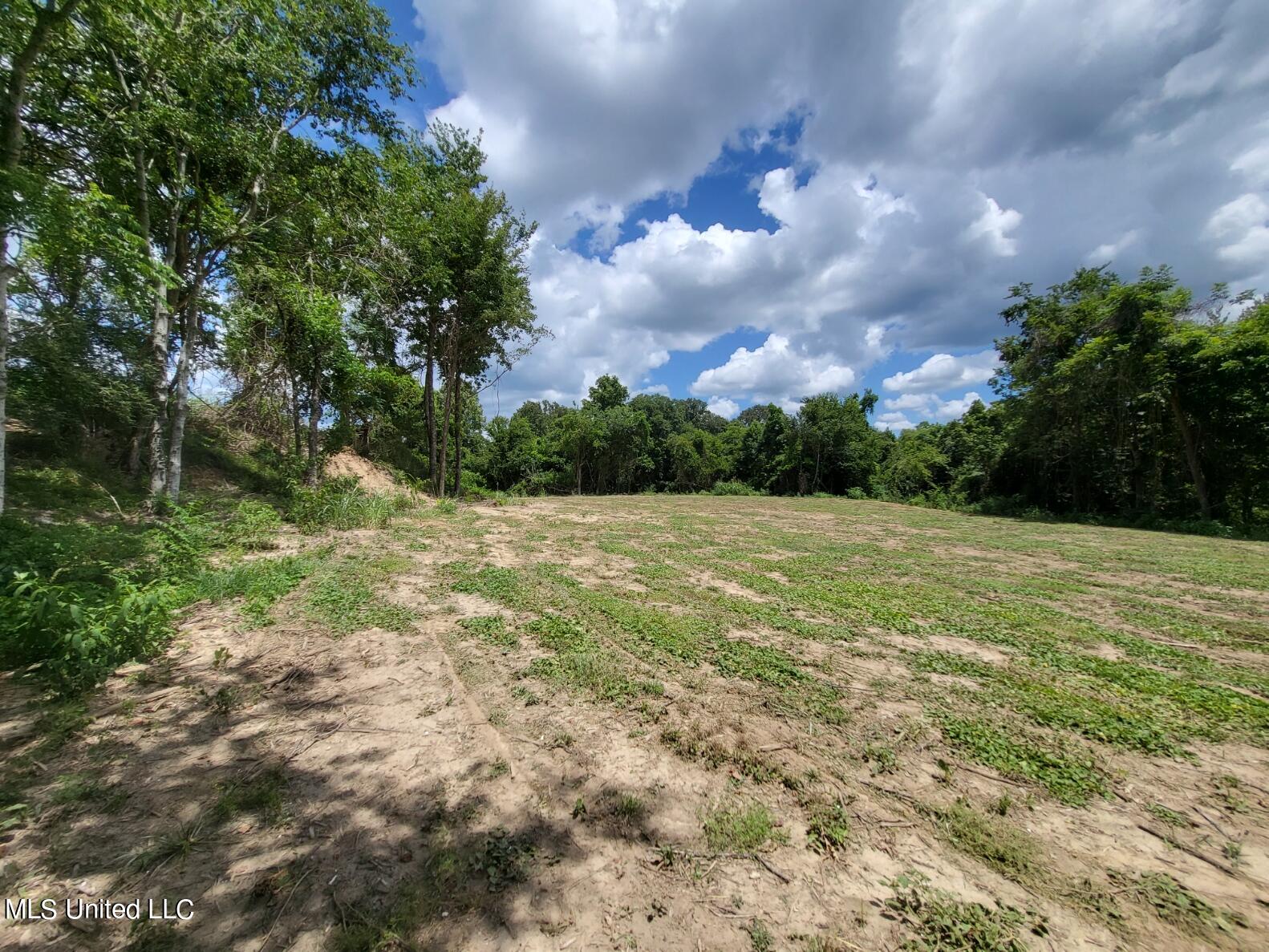 Kirk Road Yazoo City, MS 39194 - Photo 9 of 13 20220727_135227