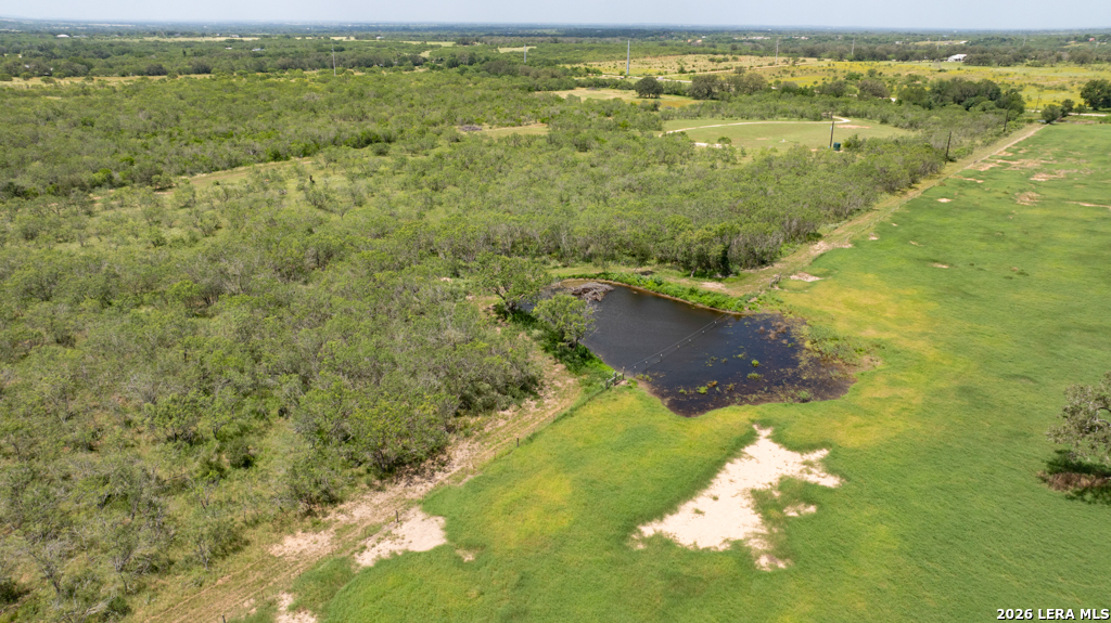 1393 Fox Trotter Road Seguin, TX 78155 - Photo 33 of 46