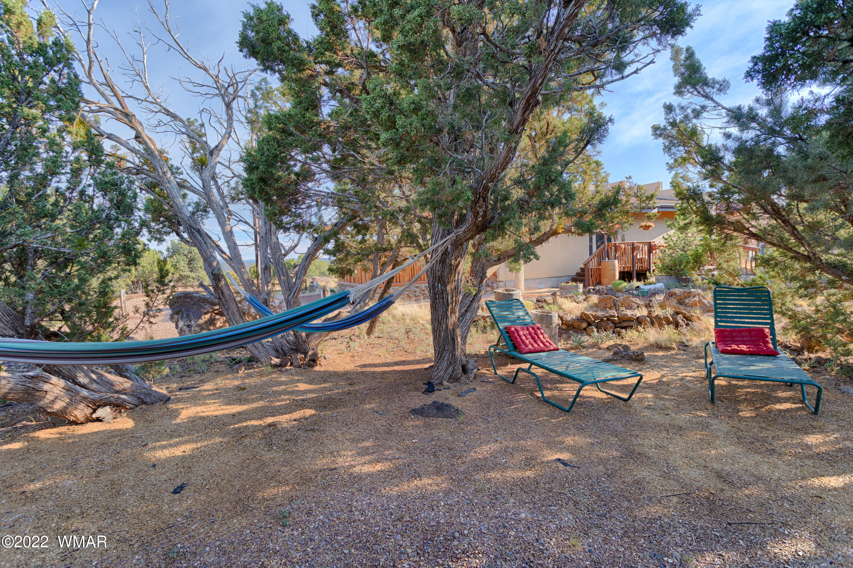 8092 Co Road Concho, AZ 85924 - Photo 30 of 42