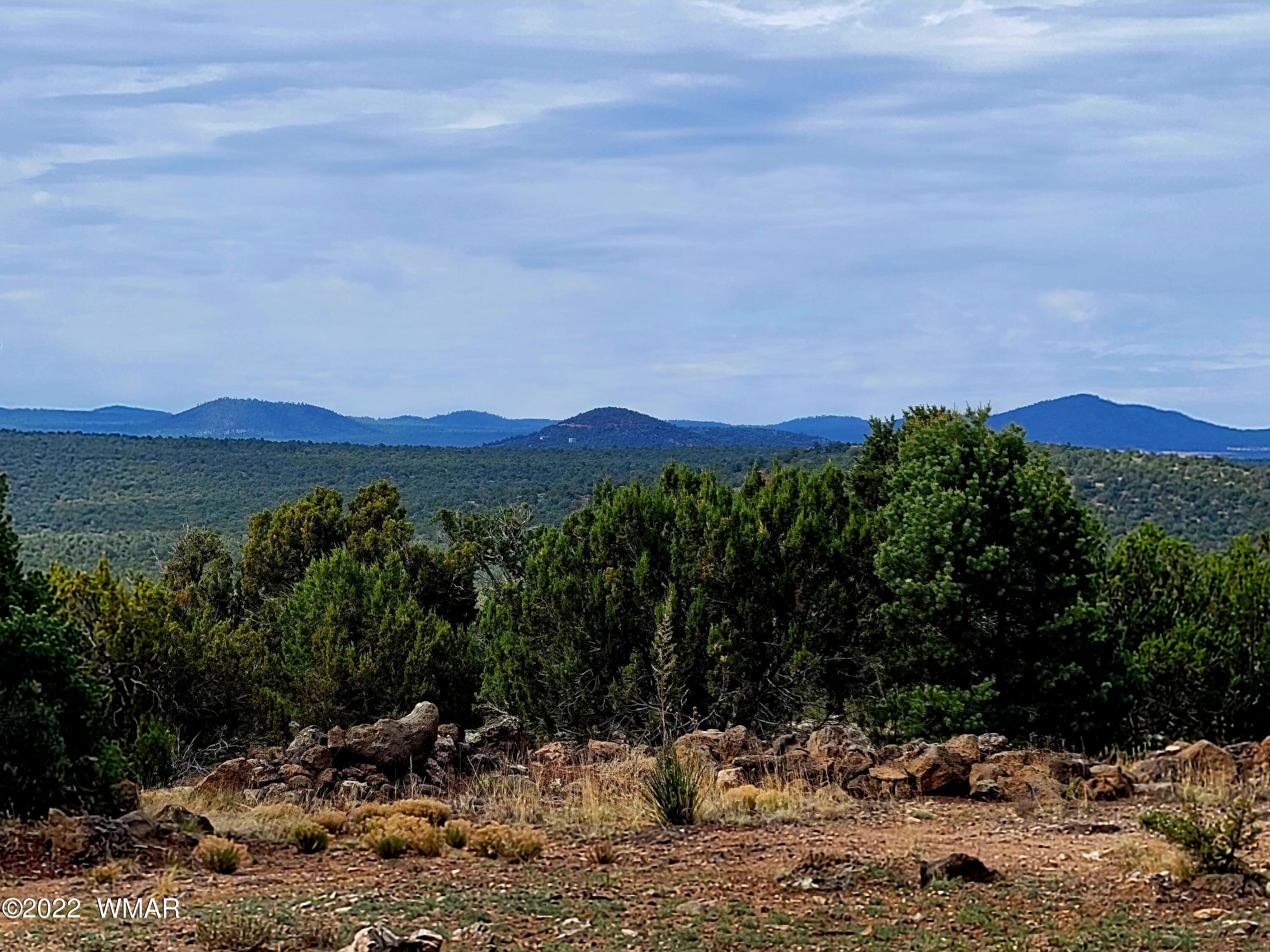 8092 Co Road Concho, AZ 85924 - Photo 38 of 42