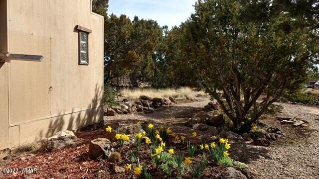 8092 Co Road Concho, AZ 85924 - Photo 7 of 42