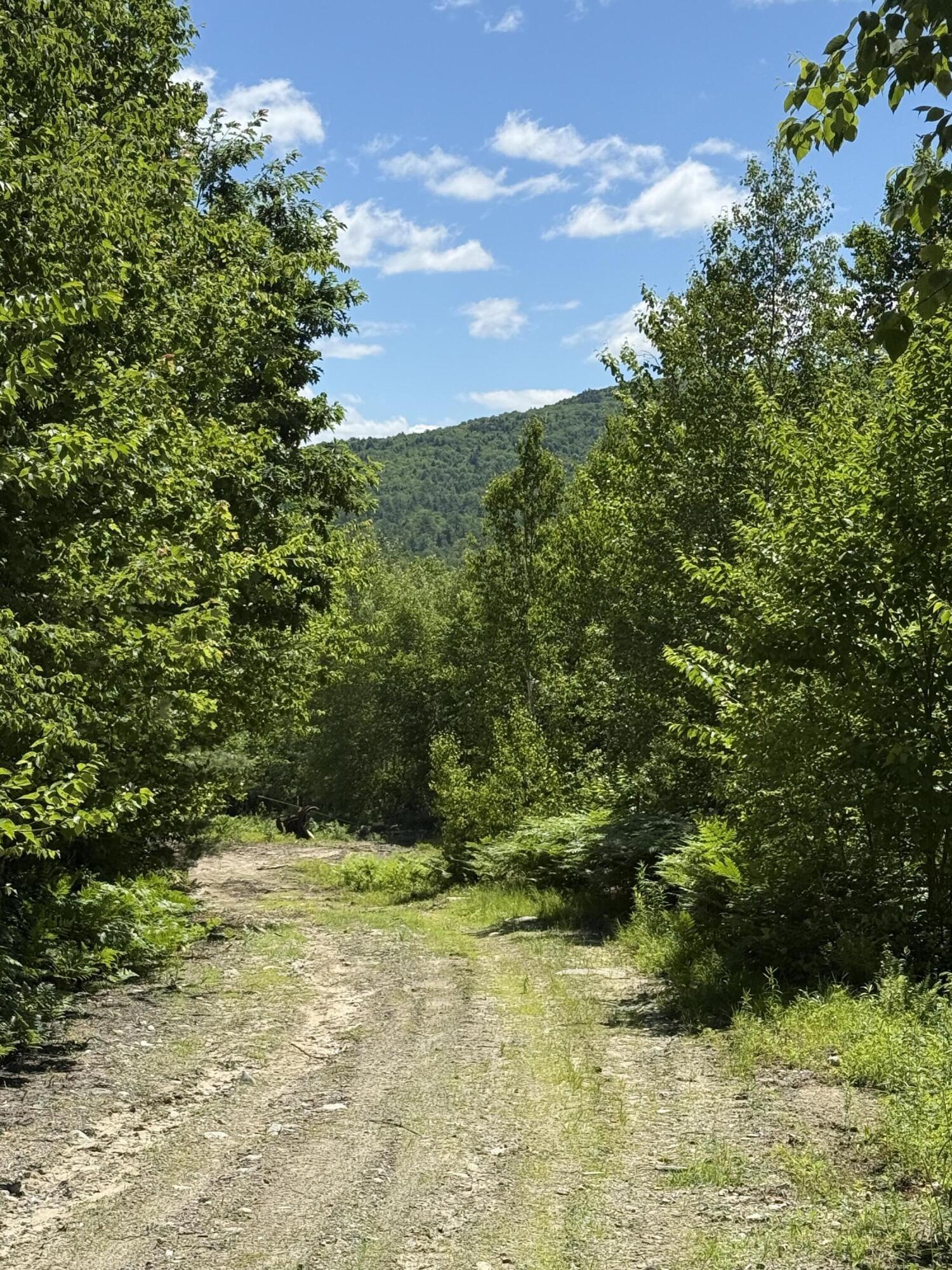 27 Greenwoods Road Peru, ME 04290 - Photo 12 of 37 IMG_4033