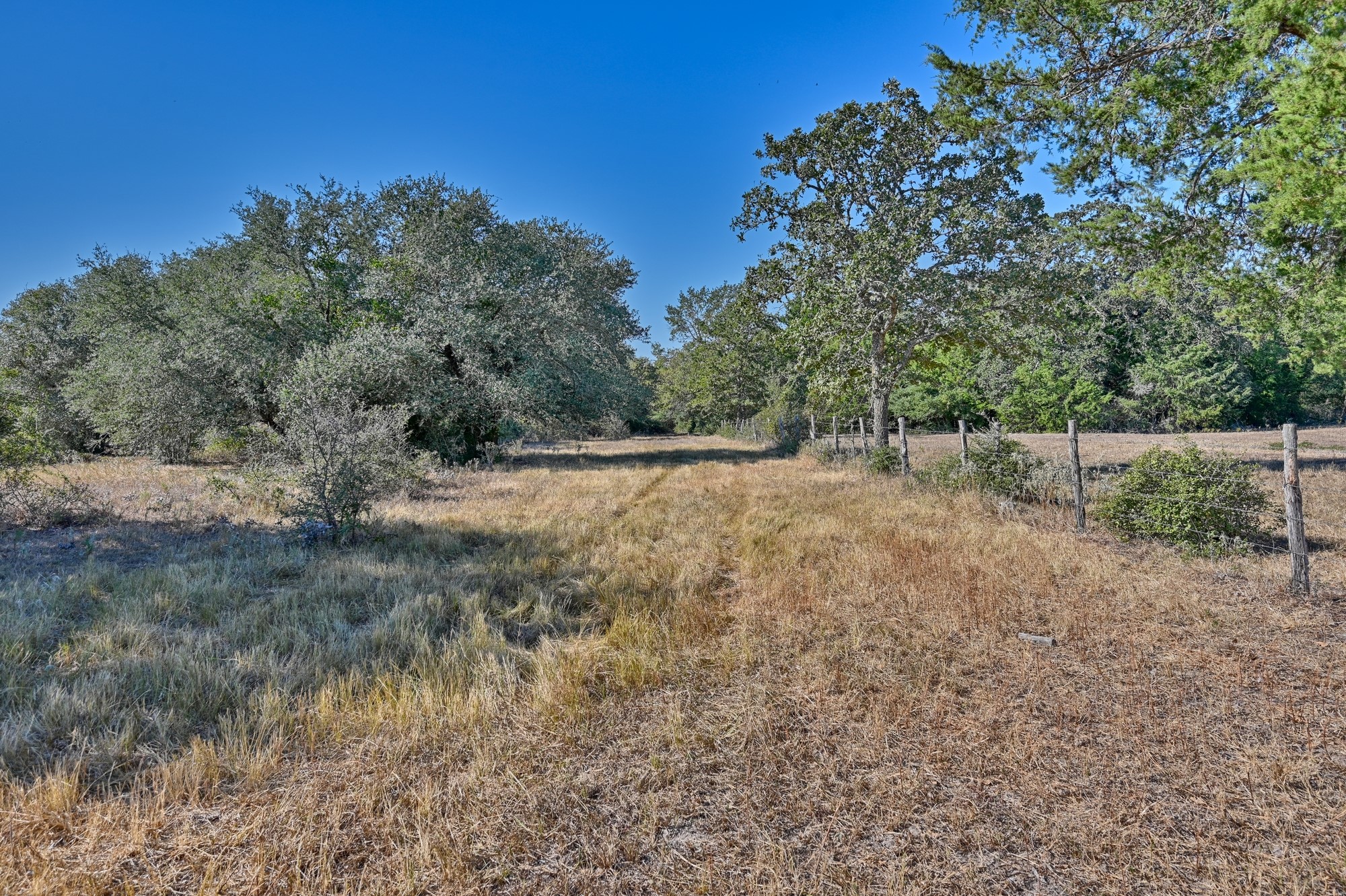 Tbd Ullrich Road Carmine, TX 78932 - Photo 18 of 24 This photo showcases a serene, open field with scattered trees and a barbed-wire fence, ideal for those seeking a quiet, natural setting.