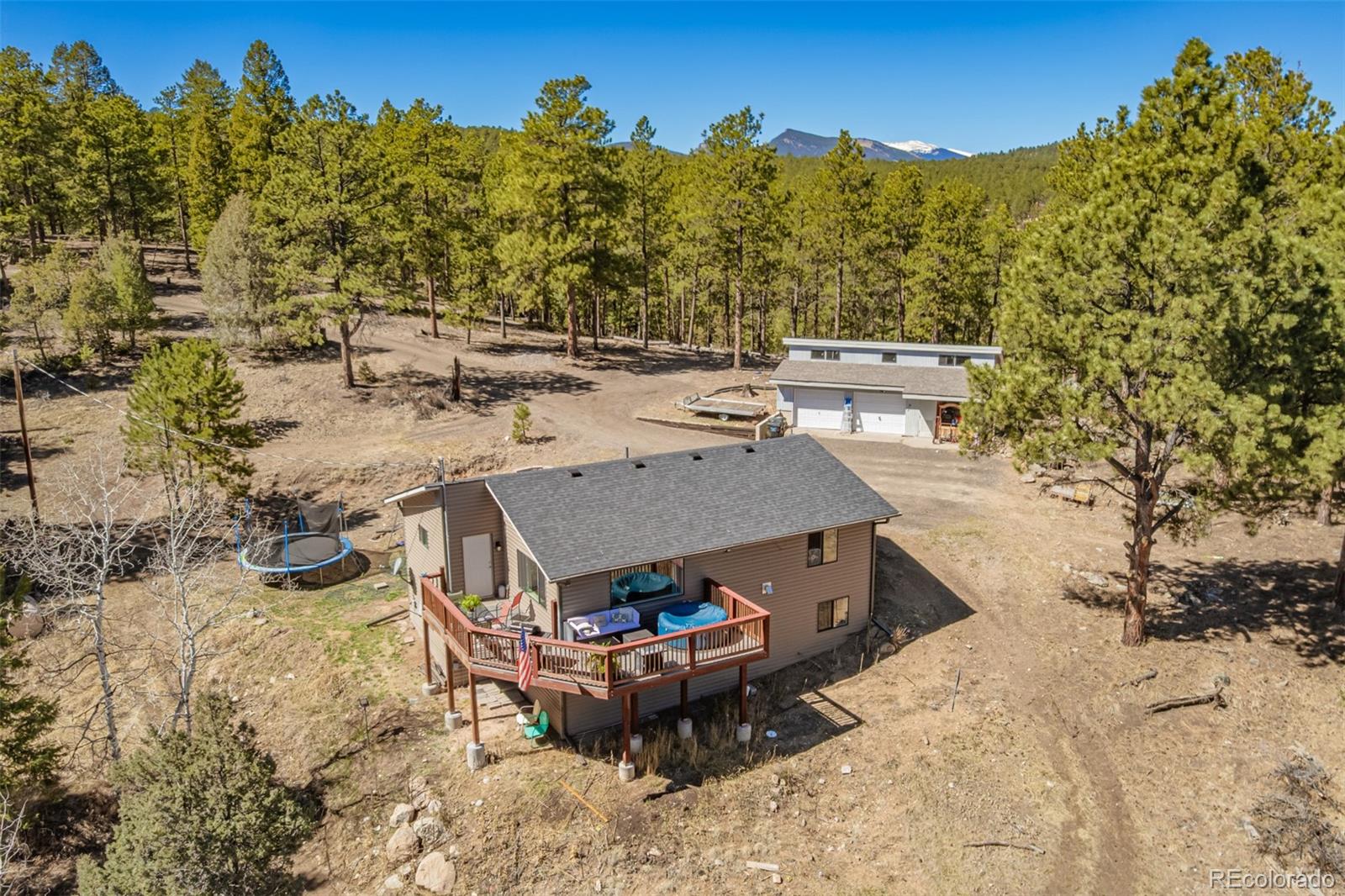 752 Impala Trail Bailey, CO 80421 - Photo 36 of 50 a view of a backyard with plants and outdoor seating