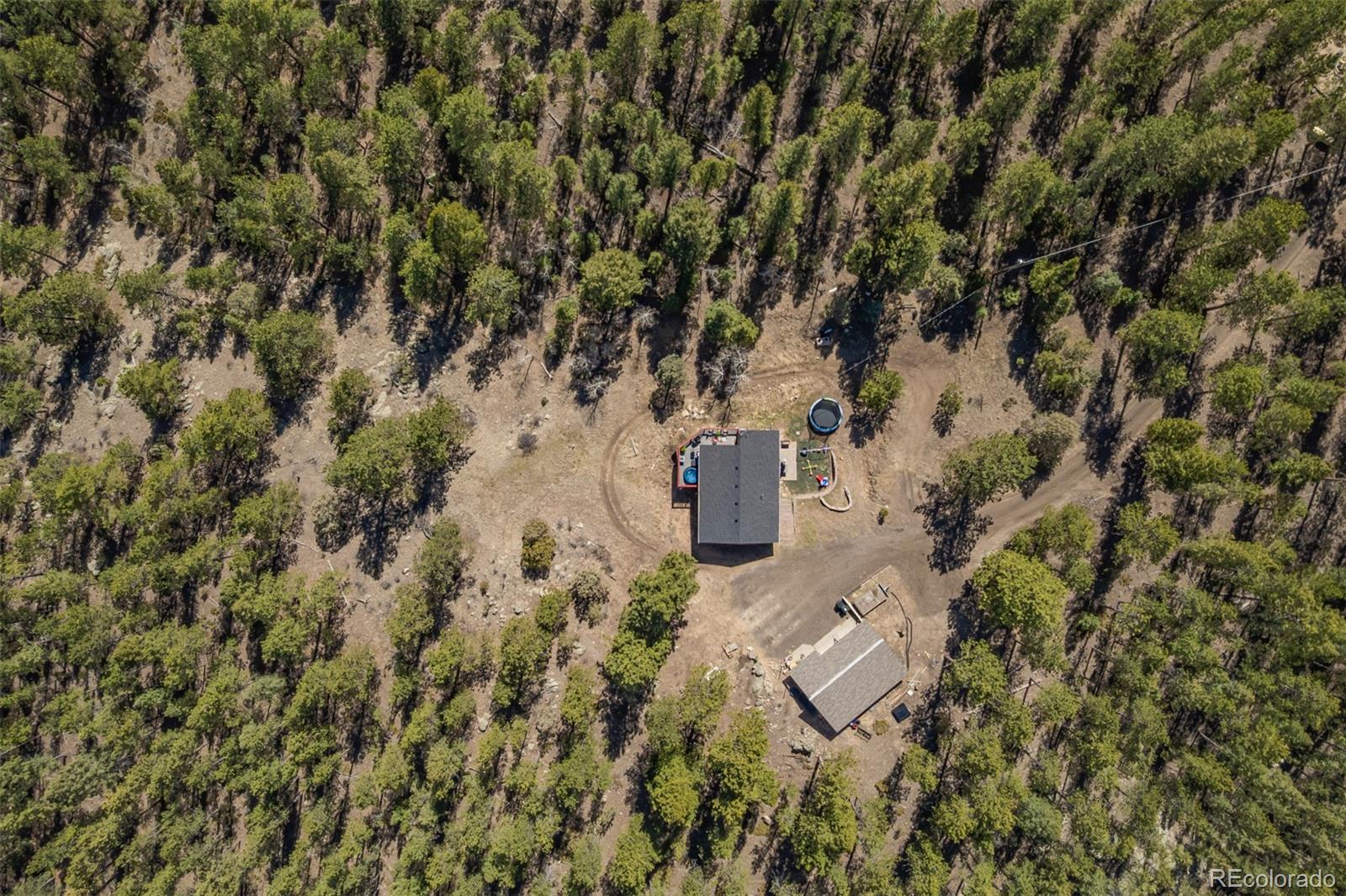 752 Impala Trail Bailey, CO 80421 - Photo 41 of 50 a view of a city with lush green forest