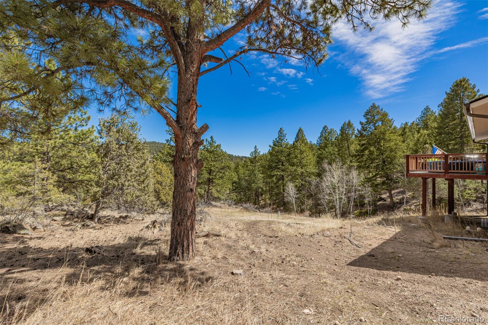 752 Impala Trail Bailey, CO 80421 - Photo 47 of 50 a view of a yard with wooden fence