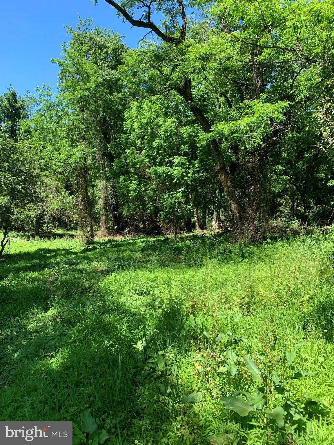 3002 Ridge Road Windsor Mill, MD 21244 - Photo 10 of 32