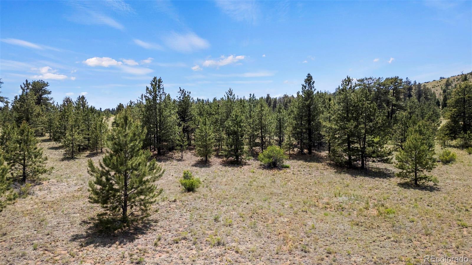 424 Mesa Road Hartsel, CO 80449 - Photo 1 of 19 a view of a covered with trees in the background
