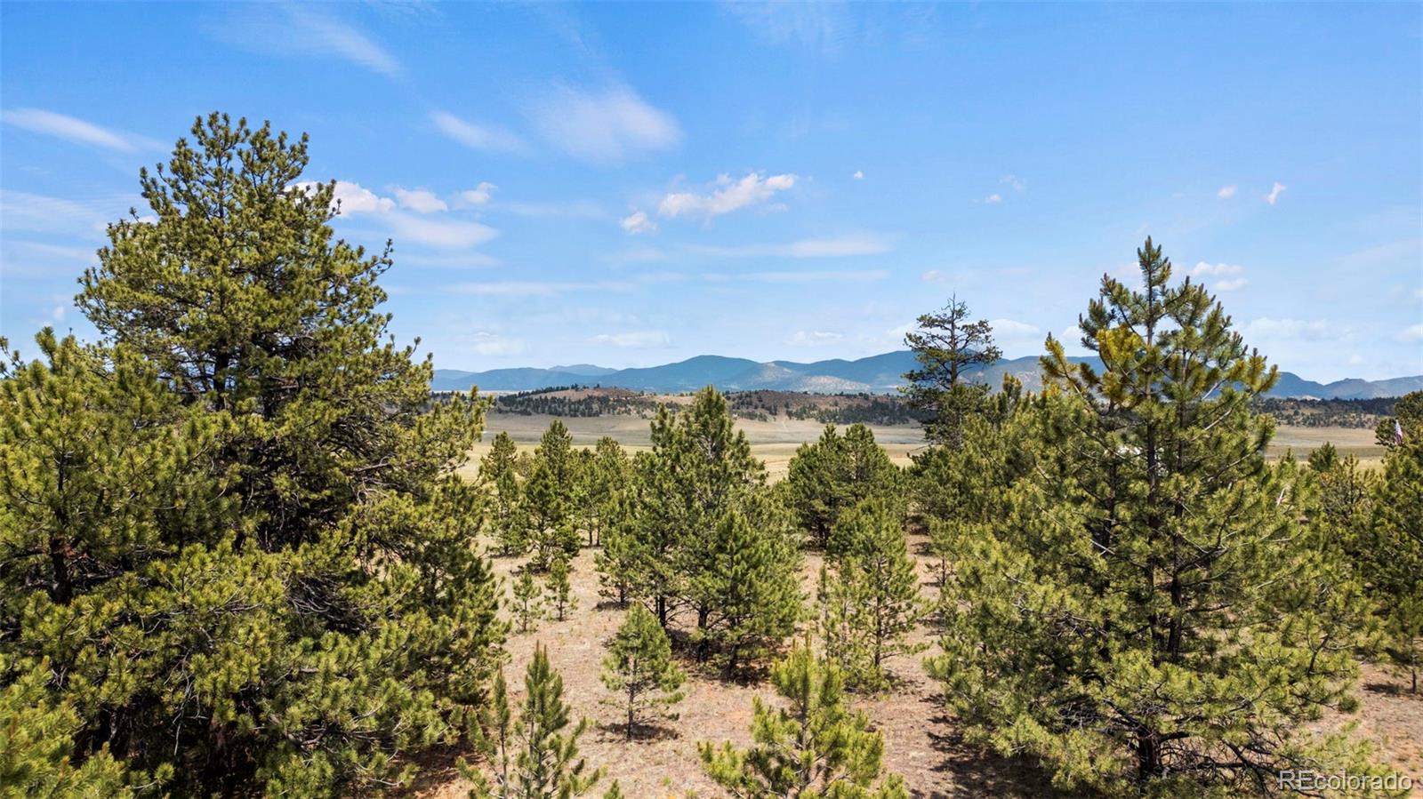 424 Mesa Road Hartsel, CO 80449 - Photo 8 of 19 a view of a lake with a mountain in the background