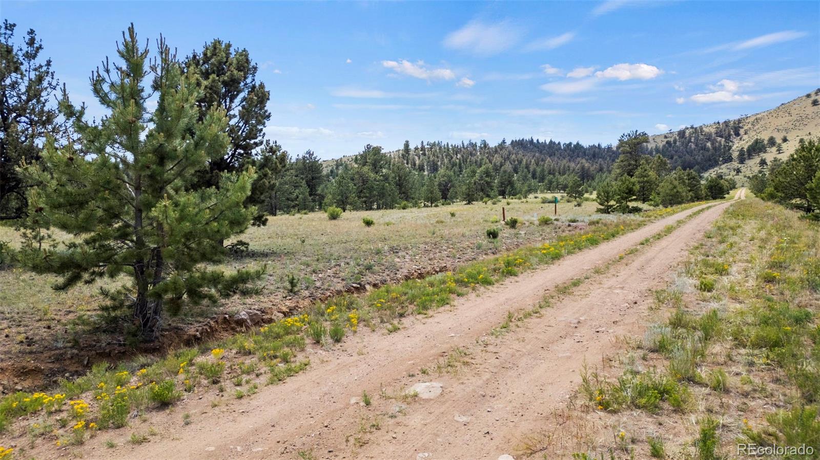 424 Mesa Road Hartsel, CO 80449 - Photo 9 of 19 a view of a dry yard with wooden fence