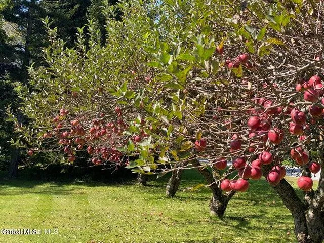 $565,000 | 7 Western Avenue, Charlton, NY 12010