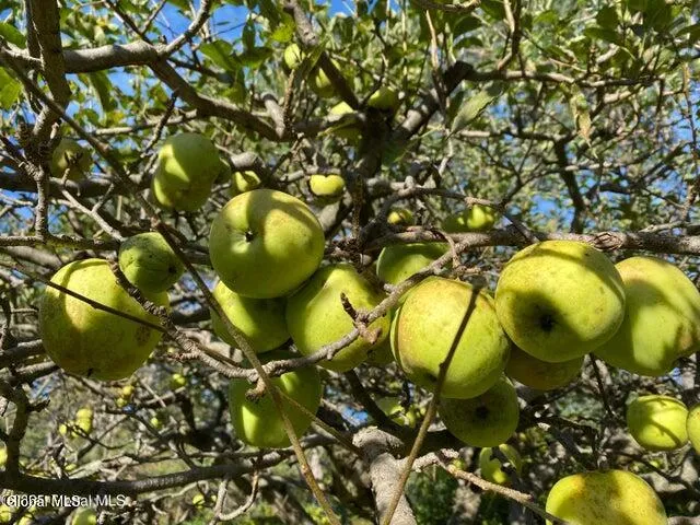 $565,000 | 7 Western Avenue, Charlton, NY 12010