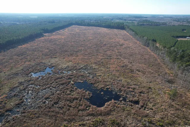 $1,299,000 | Tbd Rocky Ford Road, Salters, SC 29590